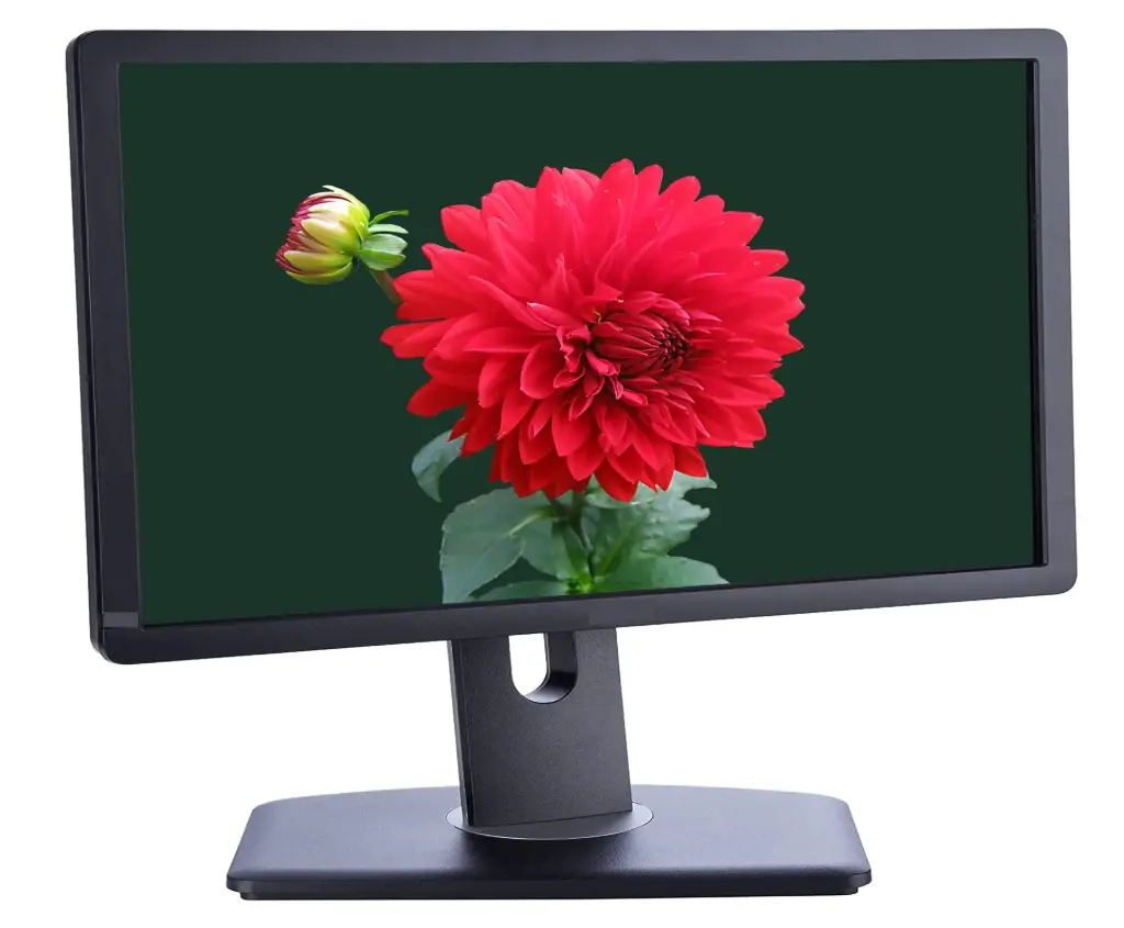 [DLP1913T] Renewed Dell P1913T 19" Widescreen 1440 x 900 Flat Panel Display LCD Monitor 60Hz D-Sub DVI DisplayPort With 90 Days Warranty