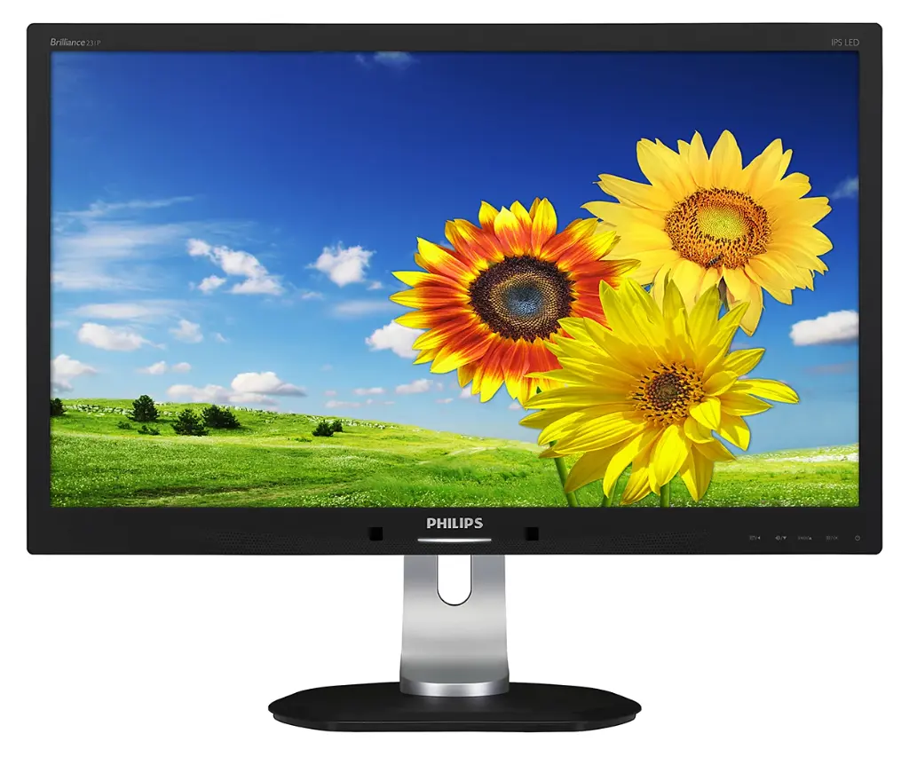 Renewed Philips 231P4Q 23" Widescreen 1920X1080 IPS LED 16:9 Monitor With 90 Days Warranty