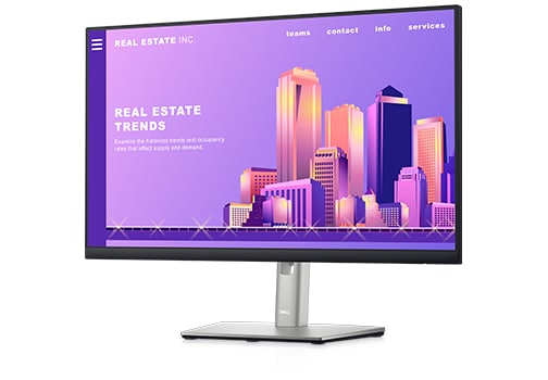 Renewed Dell P2422H 23.8'' Widescreen 1920 X 1080 IPS ComfortView Plus Technology Monitor With 90 Days Warranty